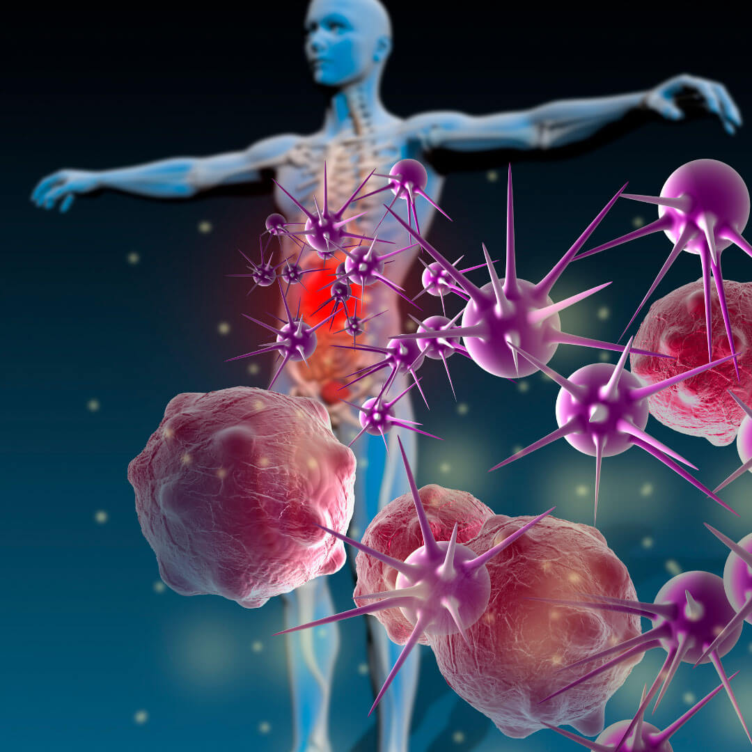Immunity-Kit
